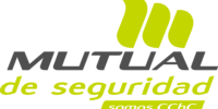 Logo Mutual de Seguridad - Bronce