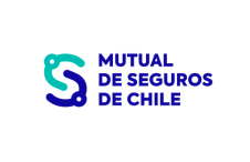MUTUAL DE SEGUROS